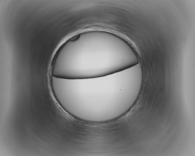 X0000116341522200912011008