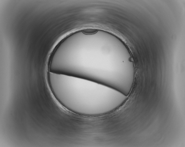 X0000116341523200912011008