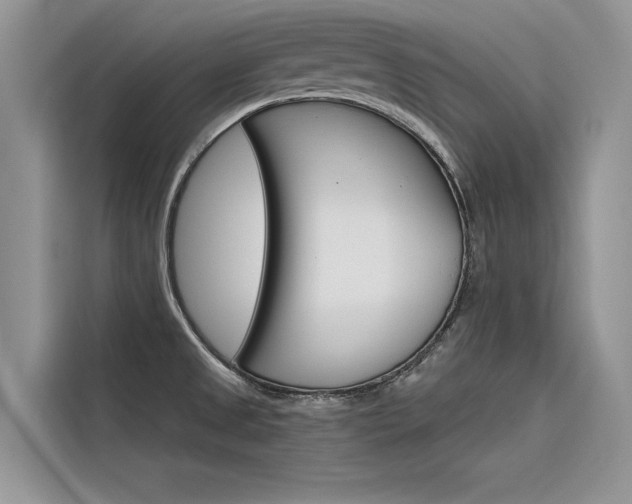 X0000116341525200912011008