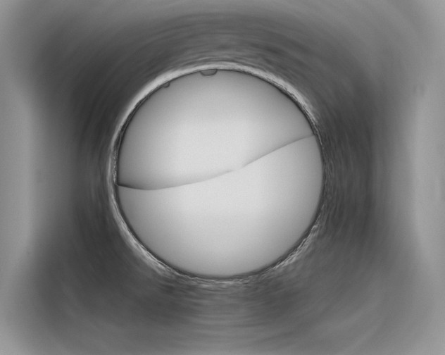 X0000116341526200912011008