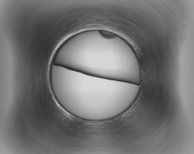 X0000116341527200912011008