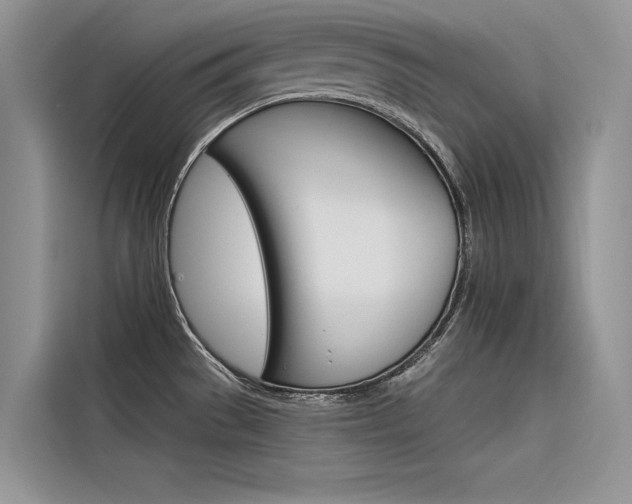 X0000116341529200912011008