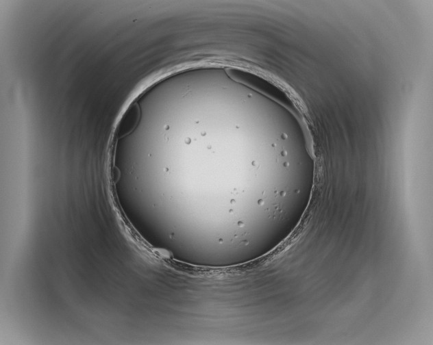 X0000116341530200912011008