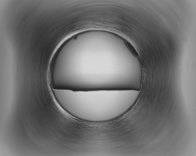 X0000116341531200912011008