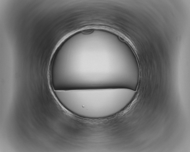 X0000116341533200912011008