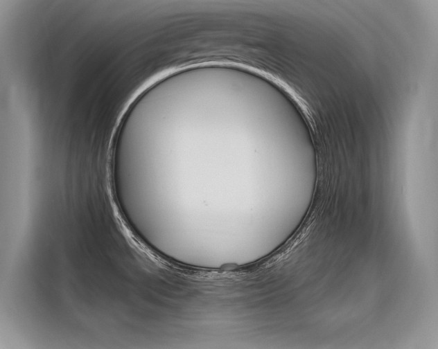 X0000116341534200912011008