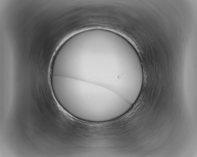 X0000116341535200912011008