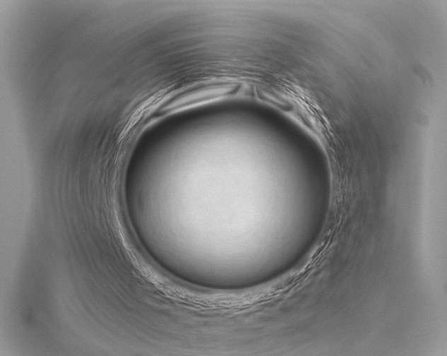 X0000116340001200912011359