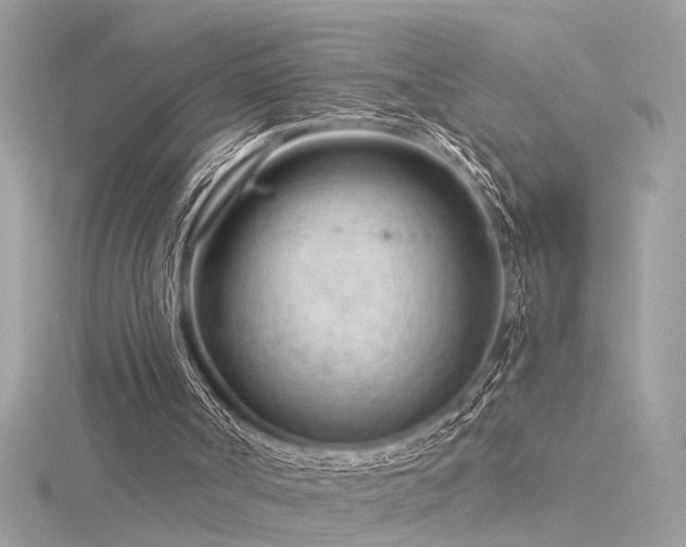 X0000116340002200912011359