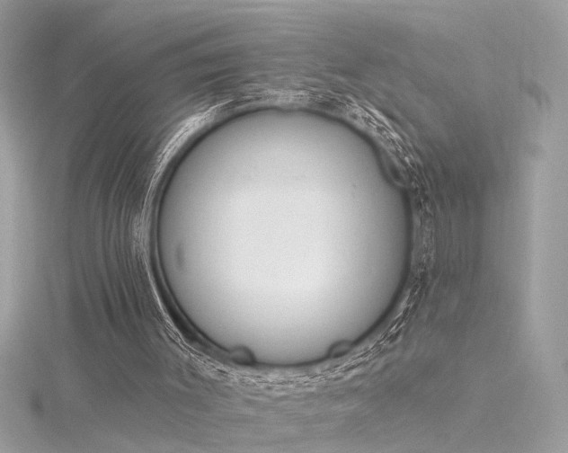 X0000116340003200912011359