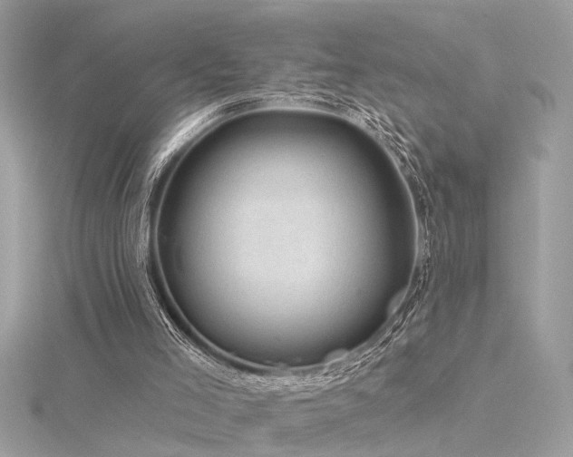 X0000116340005200912011359