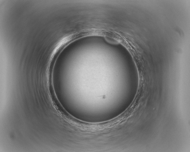 X0000116340006200912011359