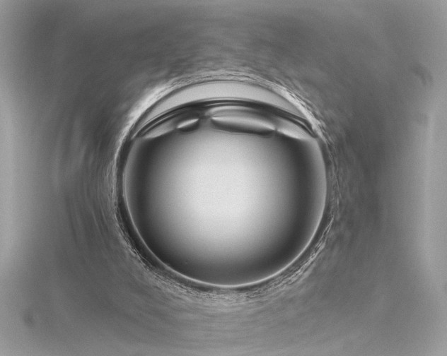 X0000116340008200912011359