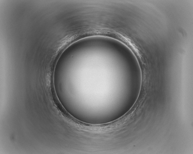 X0000116340010200912011359