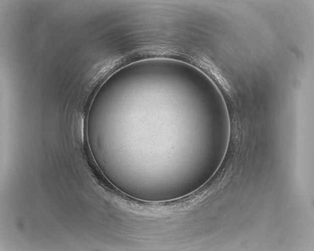 X0000116340014200912011359