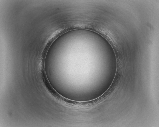 X0000116340016200912011359