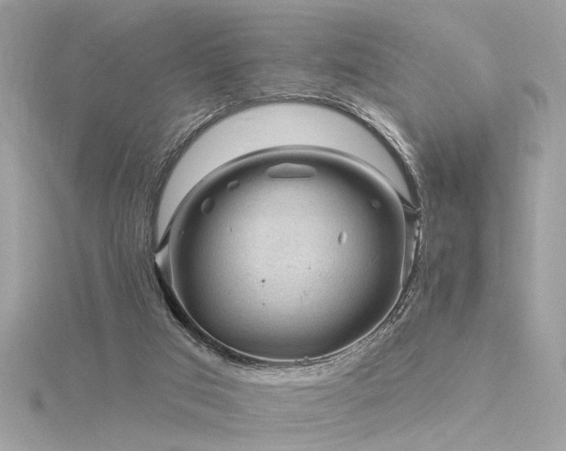 X0000116340017200912011359