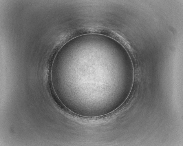 X0000116340018200912011359