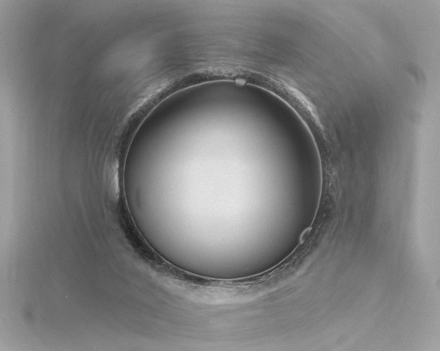 X0000116340020200912011359