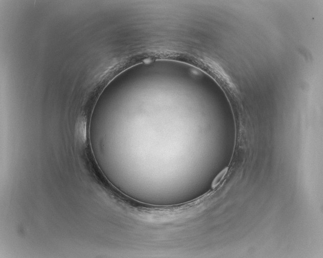 X0000116340021200912011359