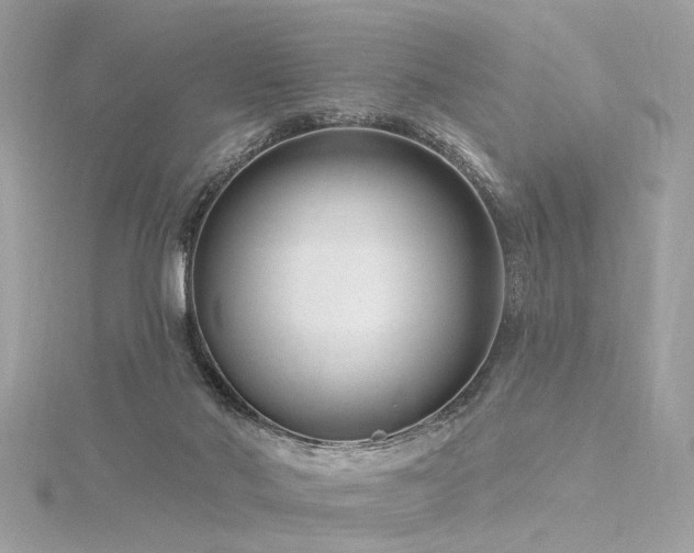 X0000116340022200912011359