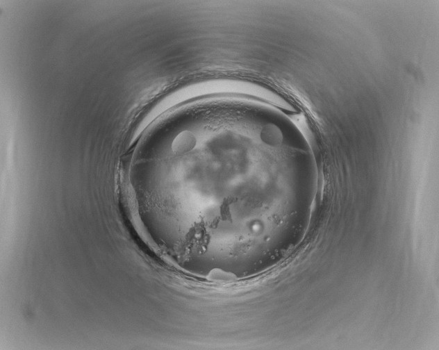 X0000116340023200912011359