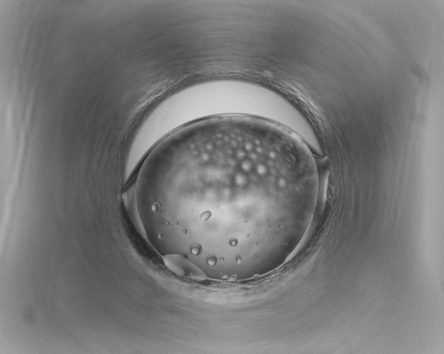 X0000116340024200912011359