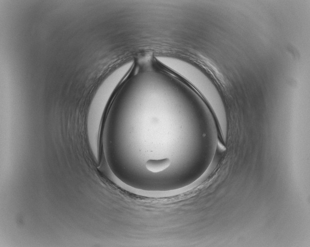 X0000116340025200912011359