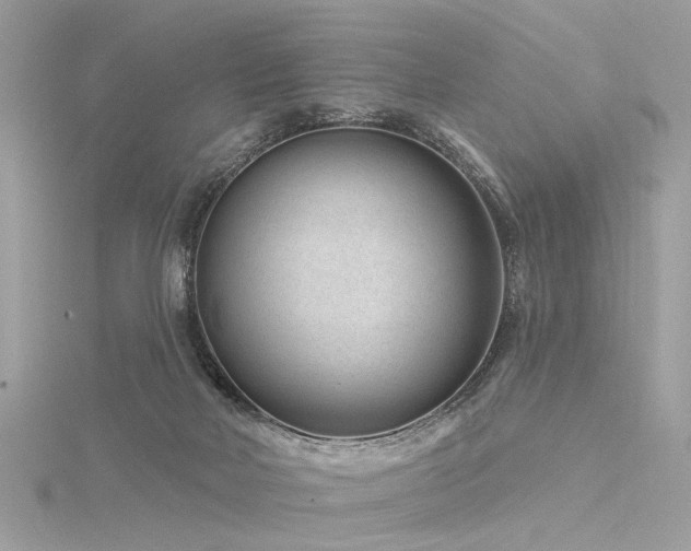 X0000116340026200912011359