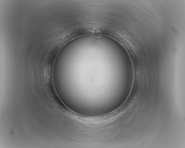 X0000116340030200912011359