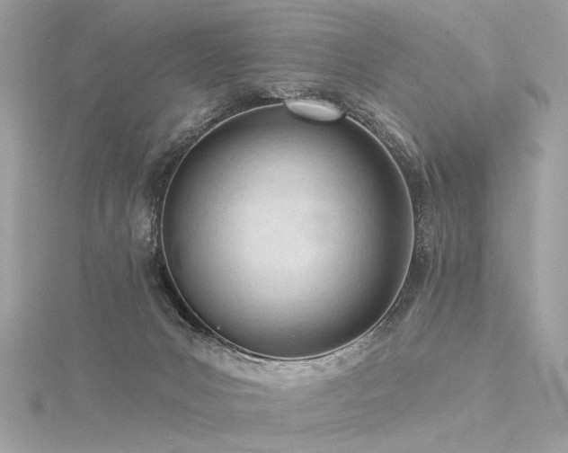 X0000116340031200912011359