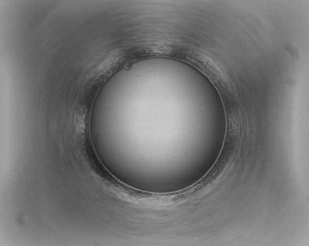 X0000116340032200912011359