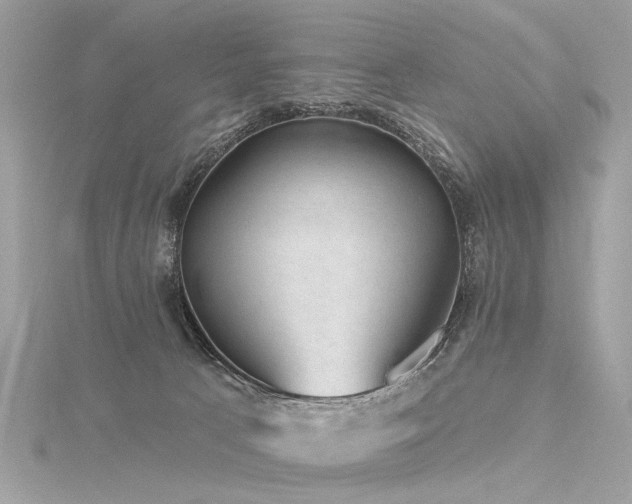 X0000116340033200912011359