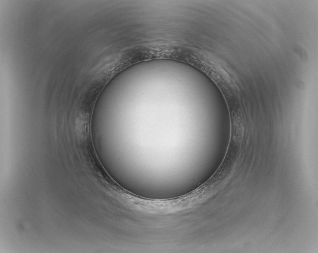 X0000116340034200912011359