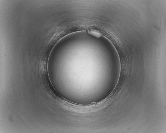 X0000116340035200912011359