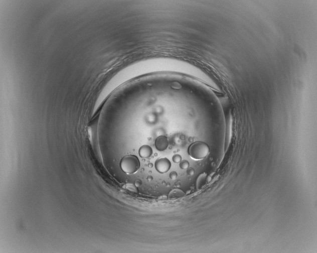 X0000116340036200912011359