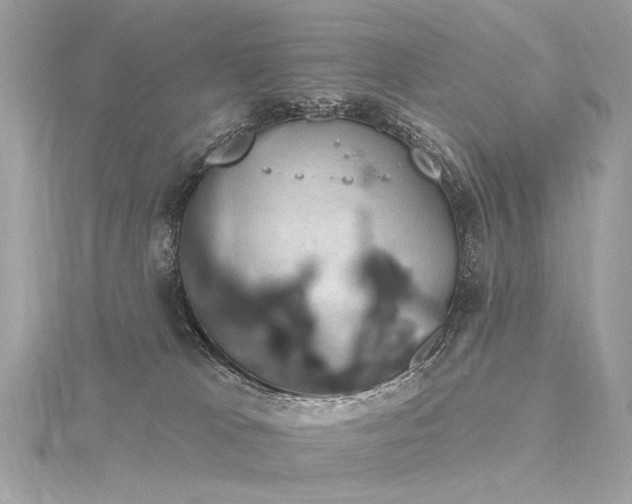 X0000116340037200912011359