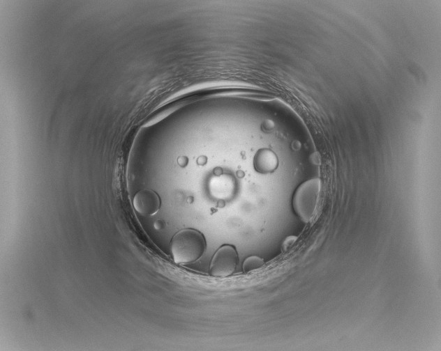 X0000116340038200912011359