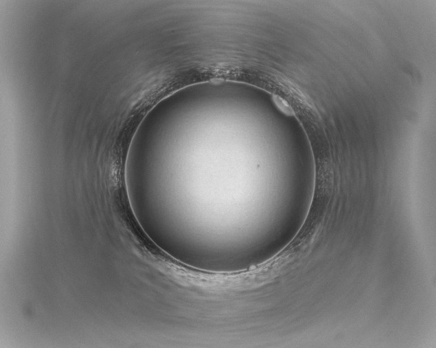 X0000116340039200912011359