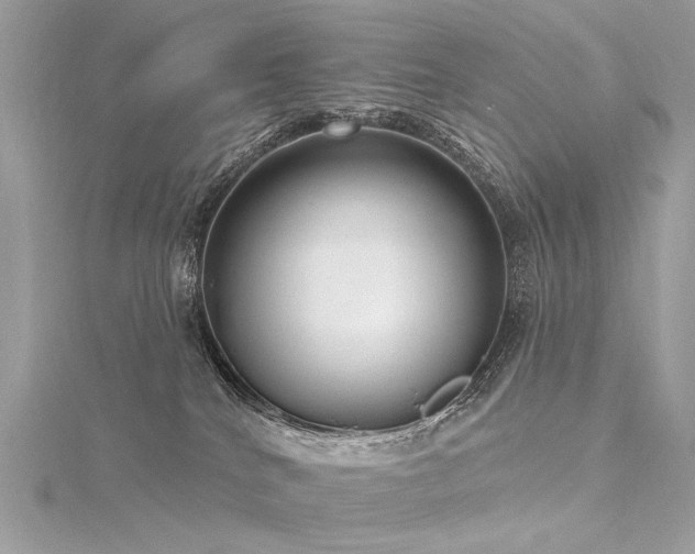 X0000116340040200912011359