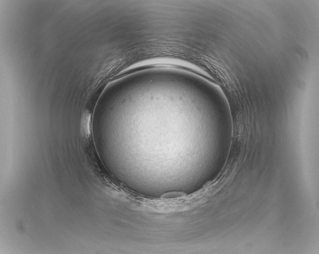 X0000116340041200912011359