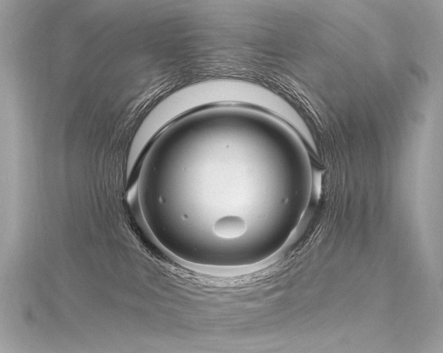 X0000116340043200912011359