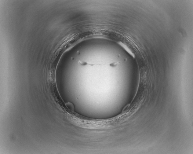 X0000116340044200912011359