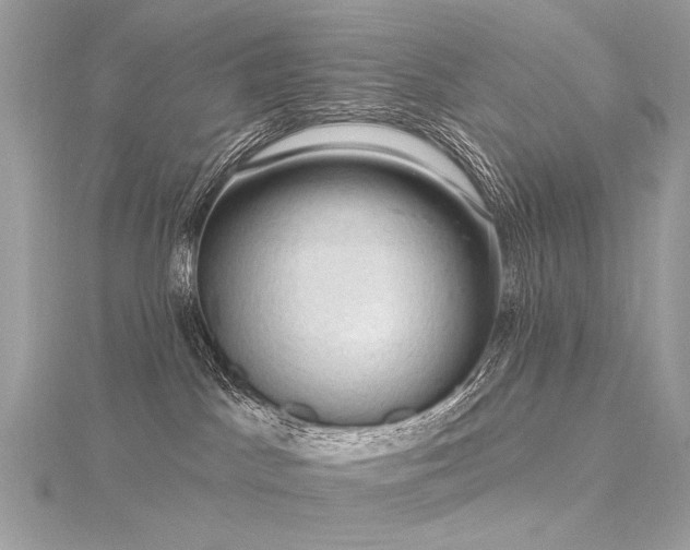 X0000116340045200912011359