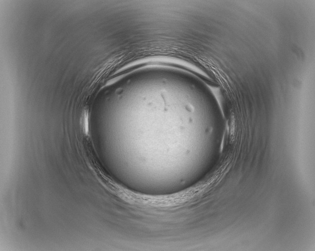 X0000116340046200912011359