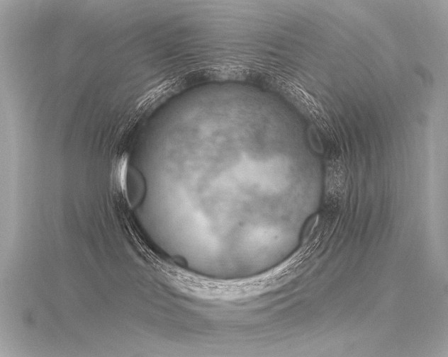 X0000116340047200912011359