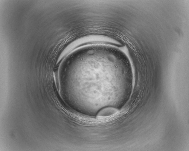 X0000116340048200912011359