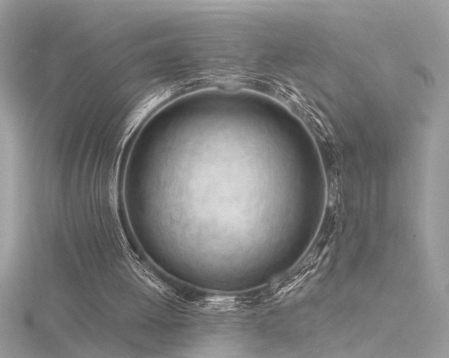 X0000116340052200912011358