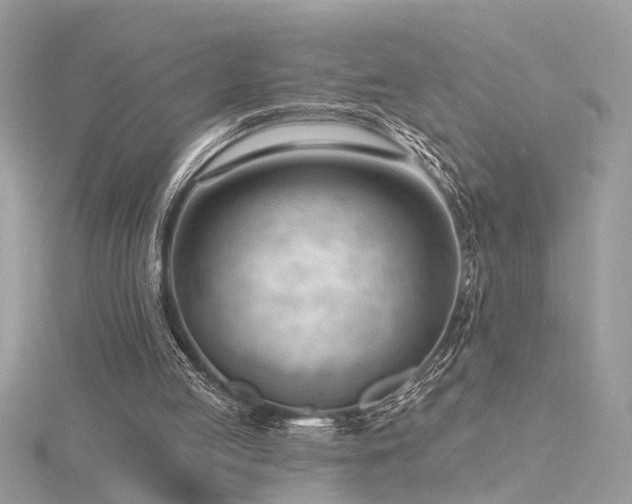 X0000116340053200912011358