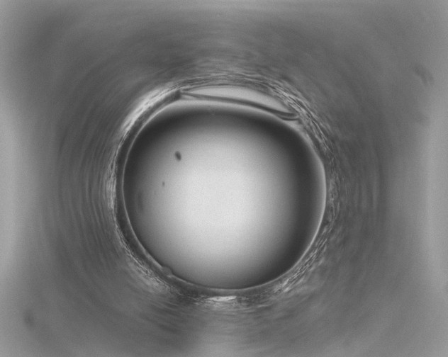 X0000116340054200912011358